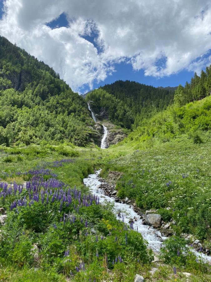 Apart Wiesenplatzl Каунерталь Екстер'єр фото